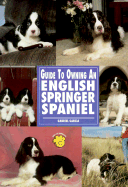 Guide to Owning a English Springer Spaniel