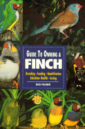 Guide to Owning a Finch