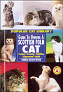 Guide to Owning a Scottish Fold Cat