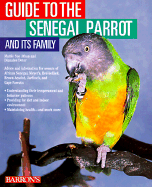 Guide to the Senegal Parrot and It's Family