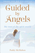 Guided by Angels: There Are No Goodbyes, My Tour of the Spirit World