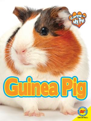 Guinea Pig - Foran, Jill