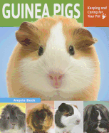 Guinea Pigs: Keeping and Caring for Your Pet