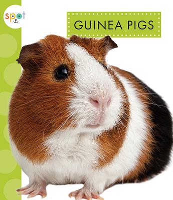 Guinea Pigs - Schuh, Mari C