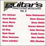 Guitar's Practicing Musicians, Vol. 2
