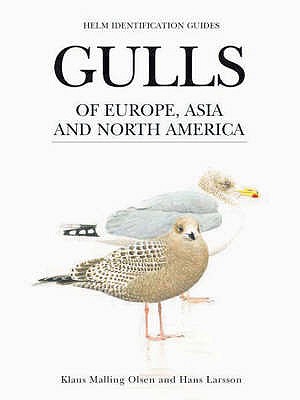 Gulls of Europe, Asia and North America - Malling Olsen, Klaus