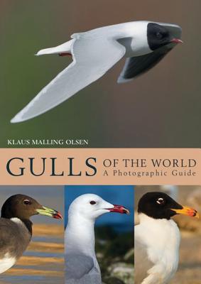 Gulls of the World: A Photographic Guide - Olsen, Klaus Malling