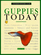 Guppies Today - Glass, Stephen, and Glass, Spencer