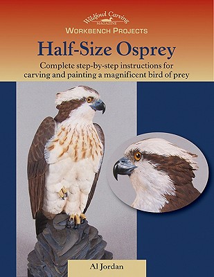 Half Size Osprey - Jordan, Al