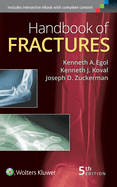 Handbook of Fractures