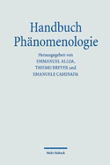 Handbuch Phnomenologie