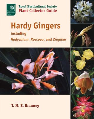 Hardy Gingers: Including Hedychium, Roscoea, and Zingiber - Branney, T M E