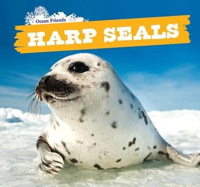 Harp Seals - King, Aven