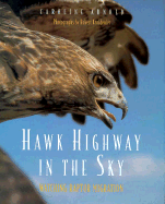 Hawk Highway in the Sky