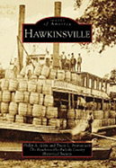 Hawkinsville