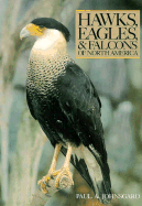 Hawks, Eagles & Falcons of North America: Biology and Natural History