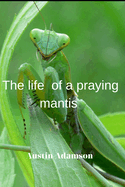 he life of a praying mantis