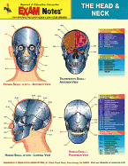 Head & Neck