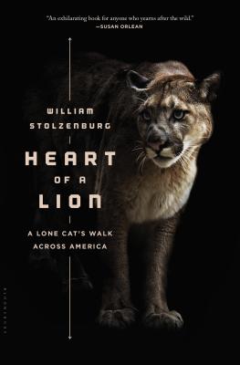 Heart of a Lion: A Lone Cat's Walk Across America - Stolzenburg, William