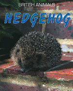 Hedgehog. Michael Leach