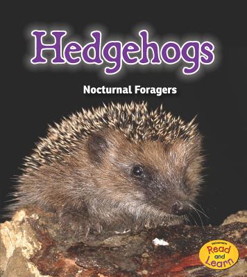 Hedgehogs: Nocturnal Foragers - Rissman, Rebecca