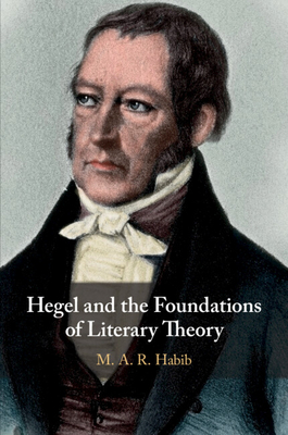 Hegel and the Foundations of Literary Theory - Habib, M. A. R.