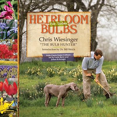 Heirloom Bulbs for Today - Colburn, Cherie-Foster, and Wiesinger, Chris