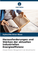 Herausforderungen und Strken der aktuellen industriellen Energieeffizienz