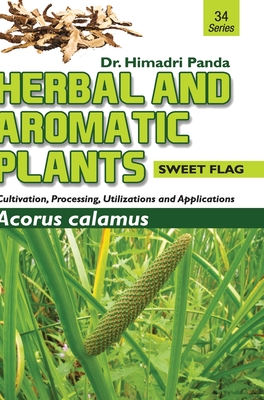 HERBAL AND AROMATIC PLANTS - 34. Acorus calamus (Sweet Flag) - Panda, Himadri