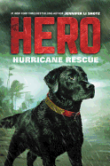 Hero: Hurricane Rescue