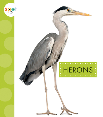 Herons - Amstutz, Lisa