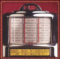 Hey Bo Diddley: A Tribute! - Various Artists