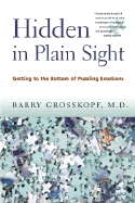 Hidden in Plain Sight: Getting to the Bottom of Puzzling Emotions