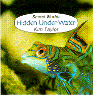 Hidden Underwater - Taylor, Kim