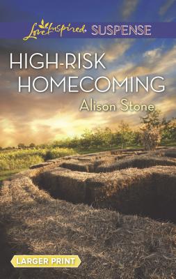 High-Risk Homecoming - Stone, Alison