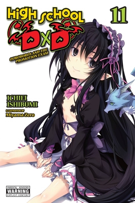 High School DXD, Vol. 11 (Light Novel): Volume 11 - Ishibumi, Ichiei, and Miyama-Zero, and Trowell, Haydn (Translated by)