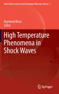 High Temperature Phenomena in Shock Waves