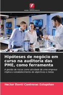 Hip?teses de neg?cio em curso na auditoria das PME, como ferramenta