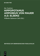 Hippopotamus Amphibius Von Mauer A.D. Elsenz