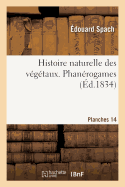 Histoire Naturelle Des V?g?taux. Phan?rogames. Planches, 14