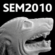 Historical Technology, Materials and Conservation: SEM and Microanalysis