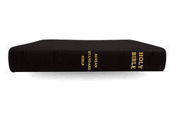 Holy Bible, Berean Standard Bible - Bonded Leather - Black Calf Grain