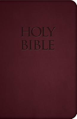 Holy Bible-Nab - Holy Evangelists