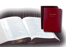 Holy Bible: Recovery Version