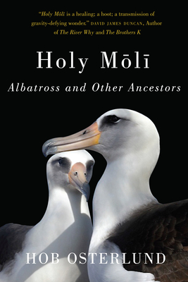 Holy Moli: Albatross and Other Ancestors - Osterlund, Hob