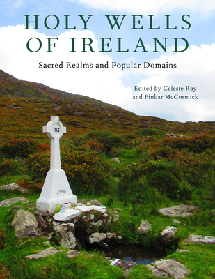 Holy Wells of Ireland: Sacred Realms and Popular Domains - Ray, Celeste (Contributions by), and McCormick, Finbar (Contributions by), and McAteer, Patrick (Contributions by)