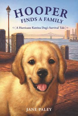 Hooper Finds a Family: A Hurricane Katrina Dog's Survival Tale - Paley, Jane