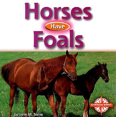 Horses Have Foals - Stone, Lynn M