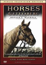 Horses of Gettysburg: Public Television Edition