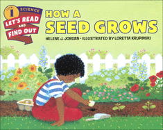 How a Seed Grows